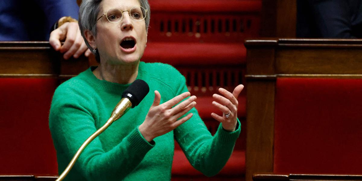 Sandrine Rousseau veut rebaptiser les steaks « cadavres d'animaux » : le délire idéologique de trop ?