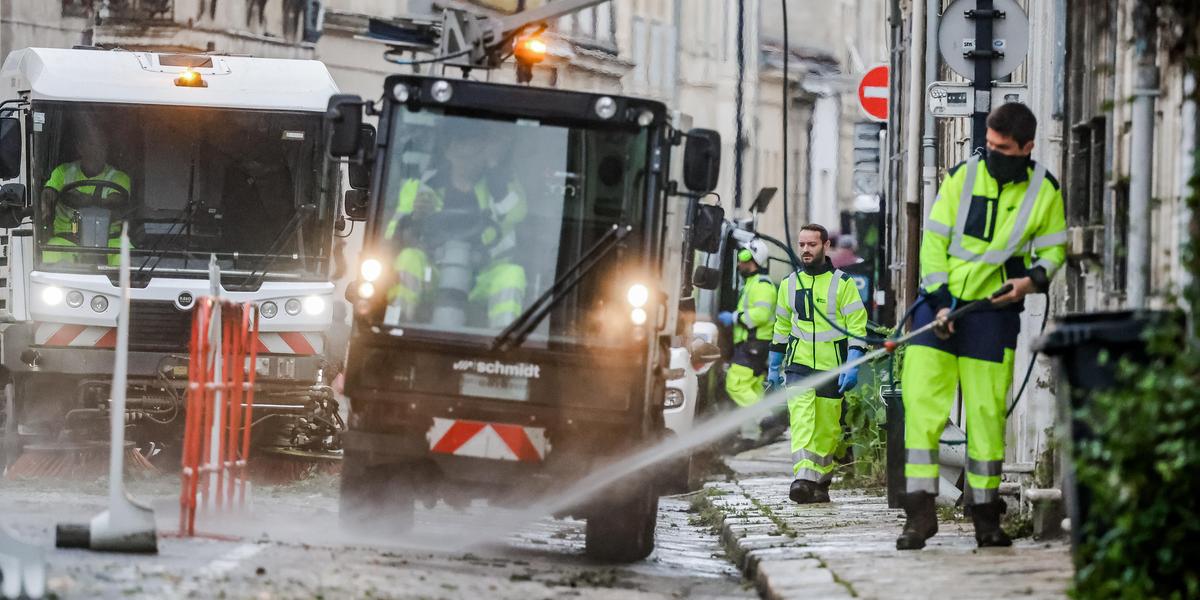 Désherbage à Bordeaux : quand la propreté des trottoirs divise une ville entre ordre et nature sauvage