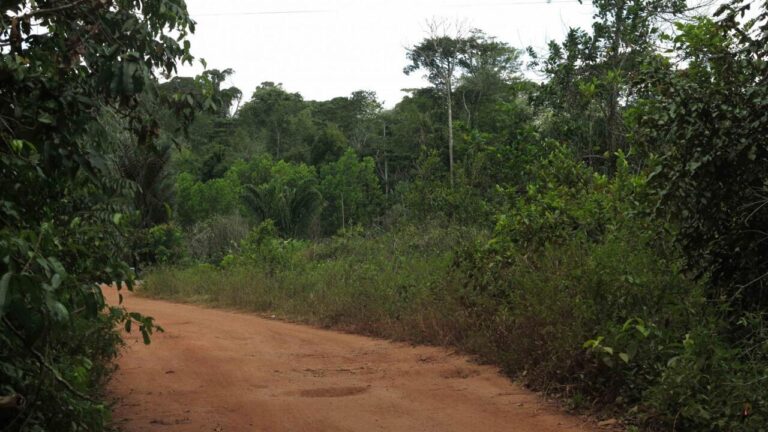 La Guyane française, porte dérobée de l'immigration clandestine : un réseau de passeurs syriens démantelé