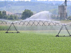 Loi d'urgence agricole : pesticides, eau, loups et souveraineté — ce que le texte change vraiment pour la France
