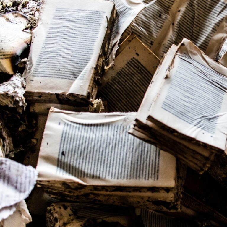 Des livres rares sacrifiés sur l'autel de l'IA : quand la course technologique détruit notre patrimoine écrit