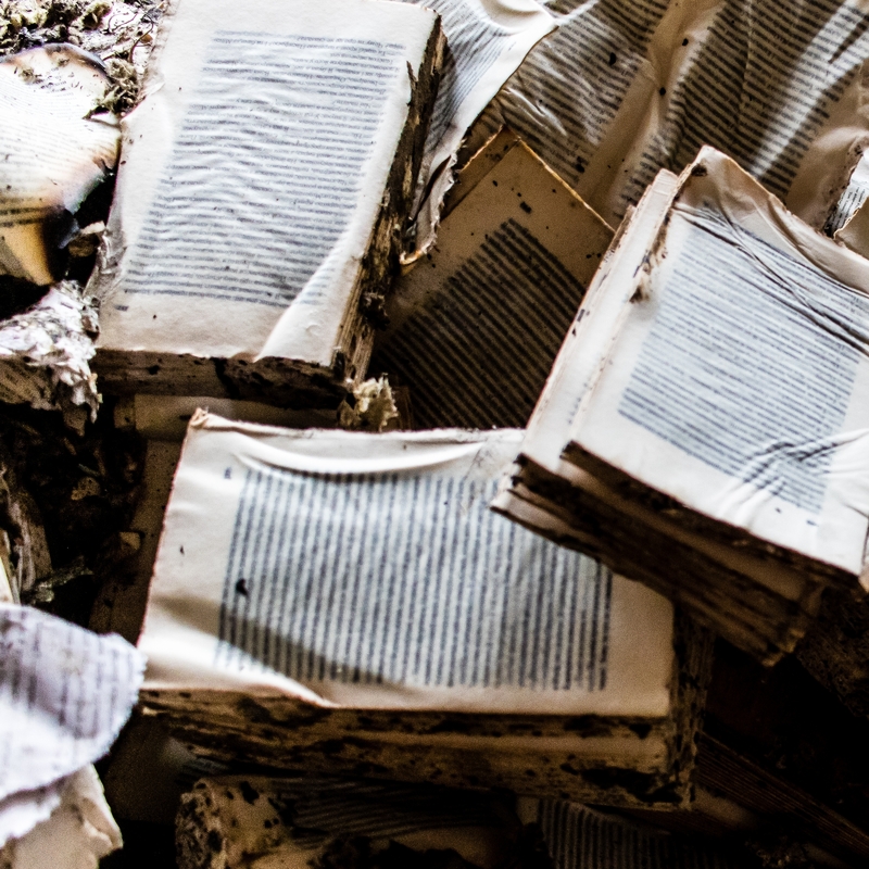 Des livres rares sacrifiés sur l'autel de l'IA : quand la course technologique détruit notre patrimoine écrit