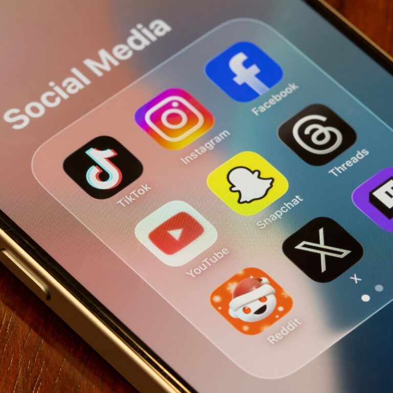 Réseaux sociaux et mineurs : le Conseil constitutionnel enterre l'interdiction, et c'est une capitulation de l'État devant ses propres juges